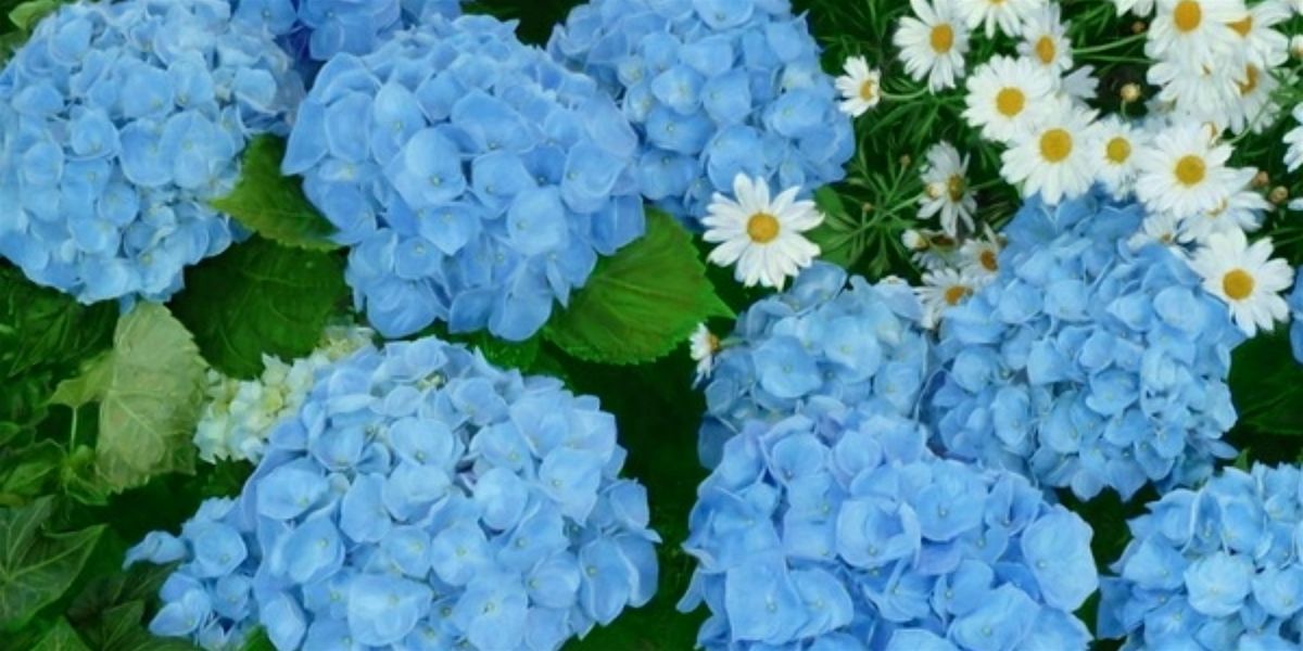 Wine, Cheese, and Wonderful Art at Hydrangea Gallery & Gifts!, 18 July | Event in Osterville | AllEvents