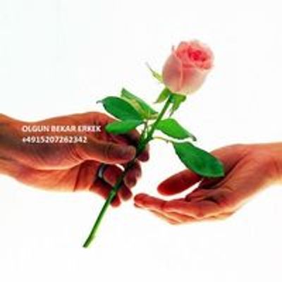 Reifer Single m. 015207262342 