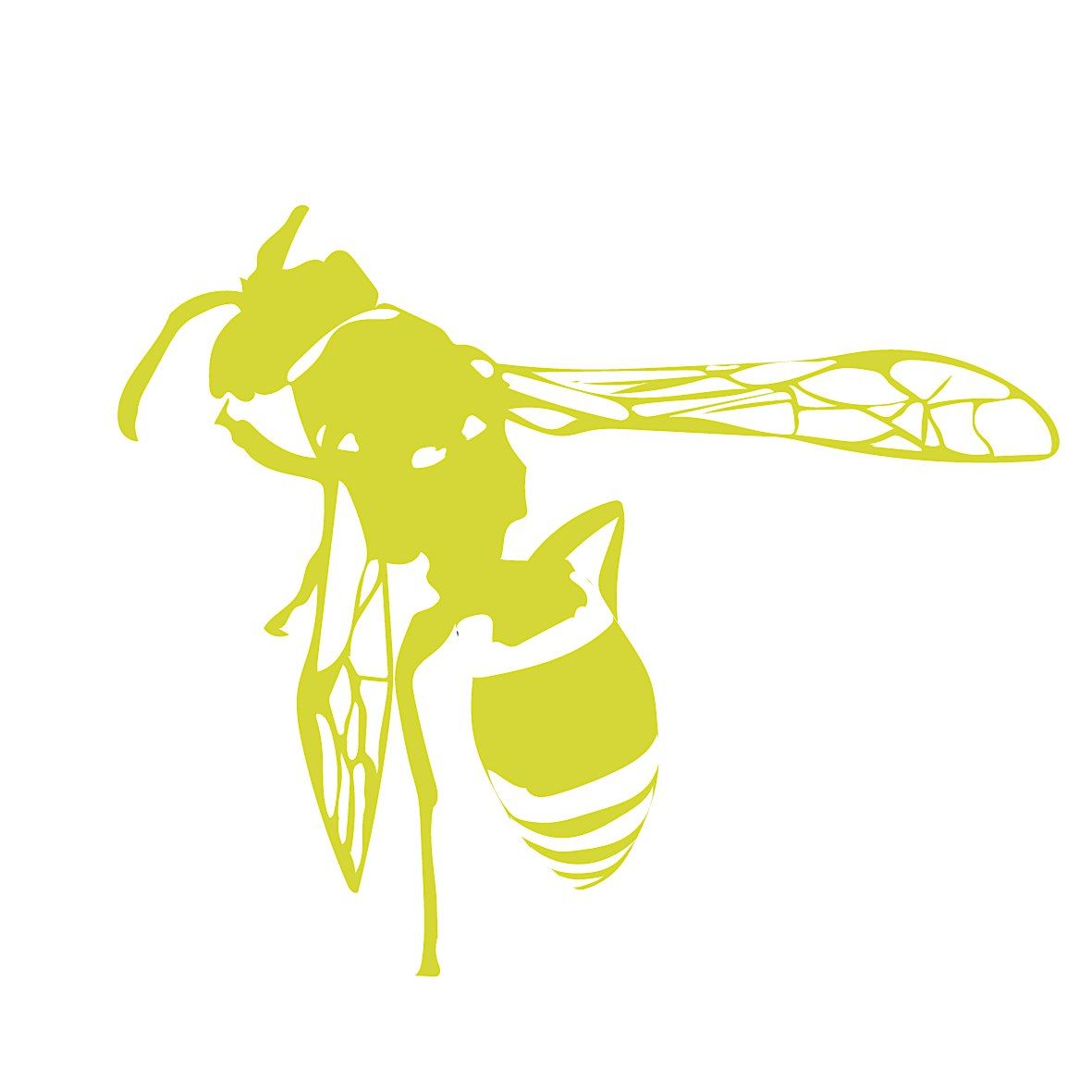 Family Wasp Survey, 13 September | Event in Aston Tirrold | AllEvents