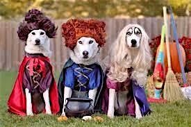 Best Dog costume contest adoption event and fundraiser., 25 October | Event in San Ramon | AllEvents