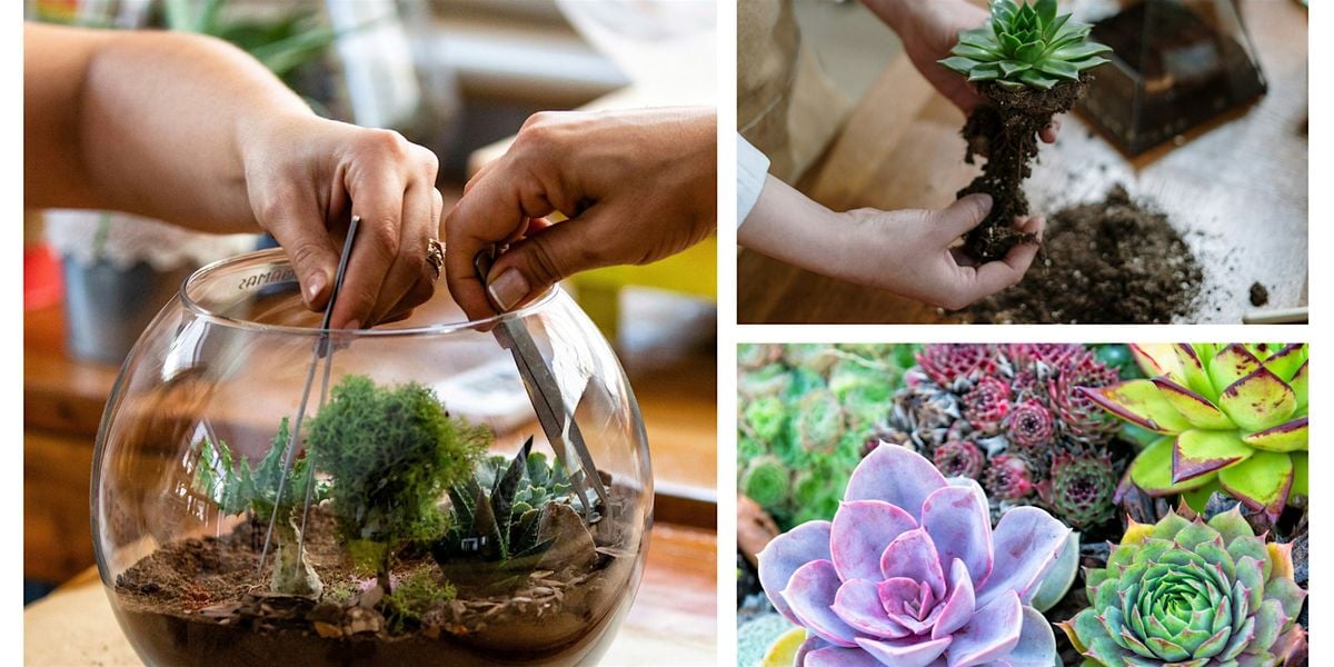 Spectacular Succulent Terrarium - Astoria - Art Class by Classpop!™, 14 June | Event in Astoria | AllEvents