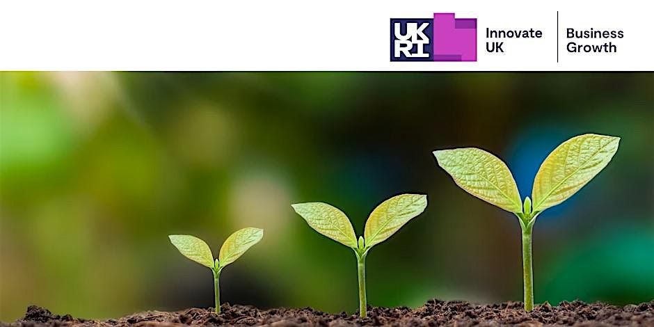 Seed to Soar, 18 June | Event in Boroughbridge | AllEvents
