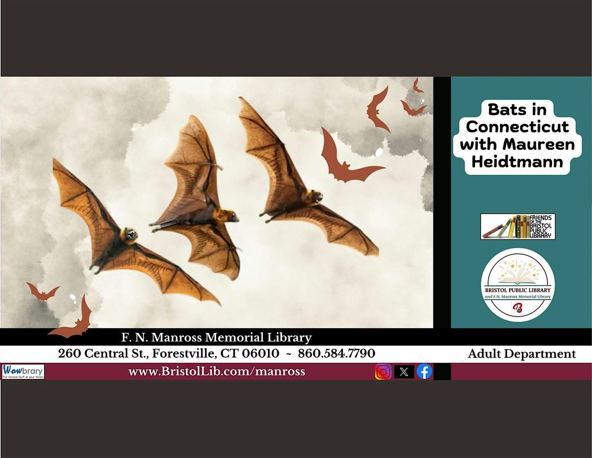Bats in Connecticut, 2 September | Event in Bristol | AllEvents