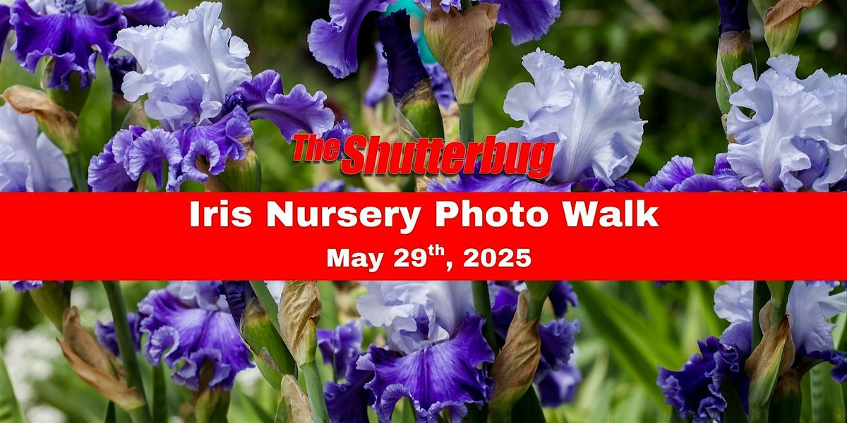 Salem Iris Farm Photo Walk with the Shutterbug, 29 May | Event in Salem | AllEvents