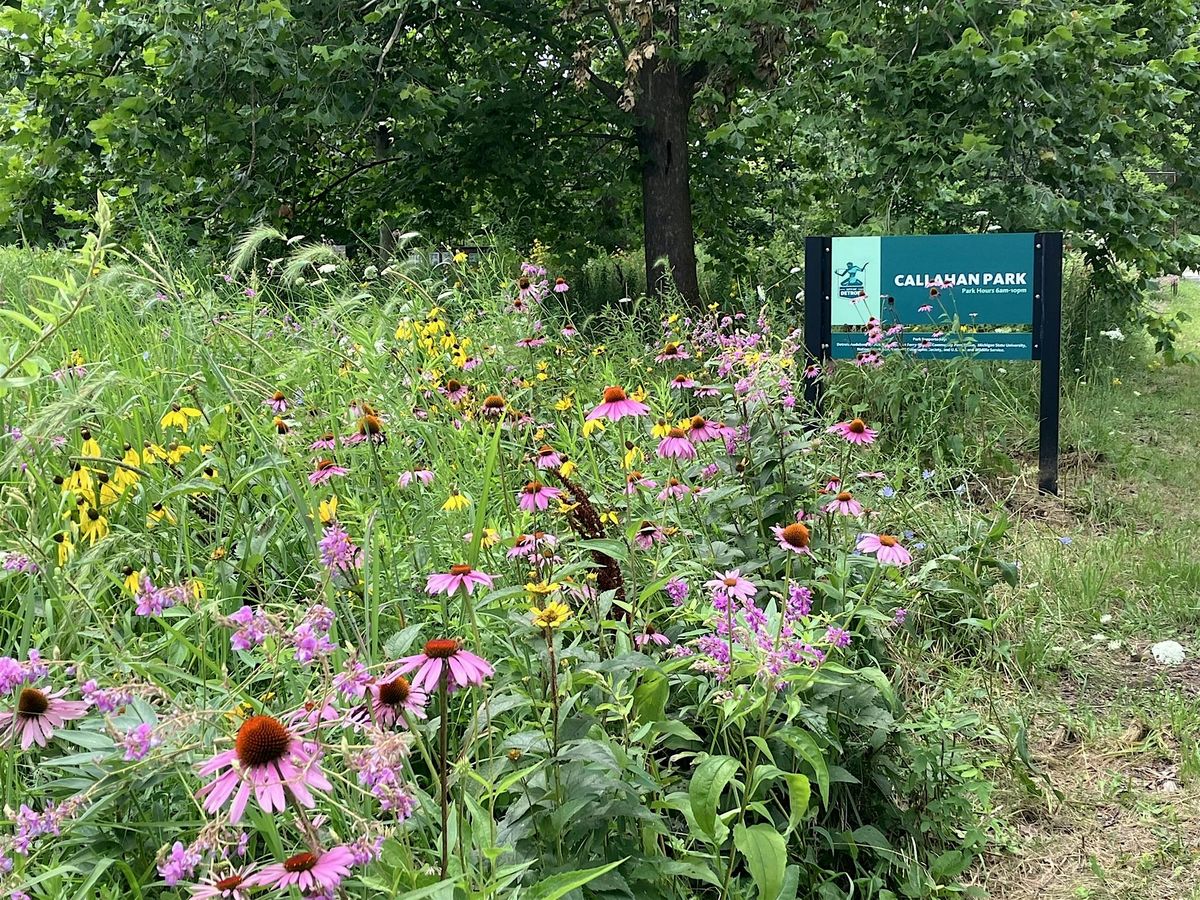 Callahan Park and Neighborhood Meadows Tour, 30 August | Event in Detroit | AllEvents