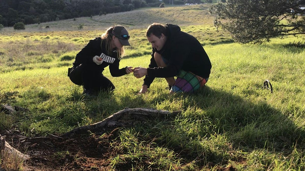 HAWKE'S BAY forage adventure!, 6 December | Event in Tutira | AllEvents
