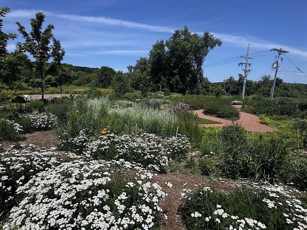 Designing a Meadow-ette, 13 September | Event in Traverse City | AllEvents
