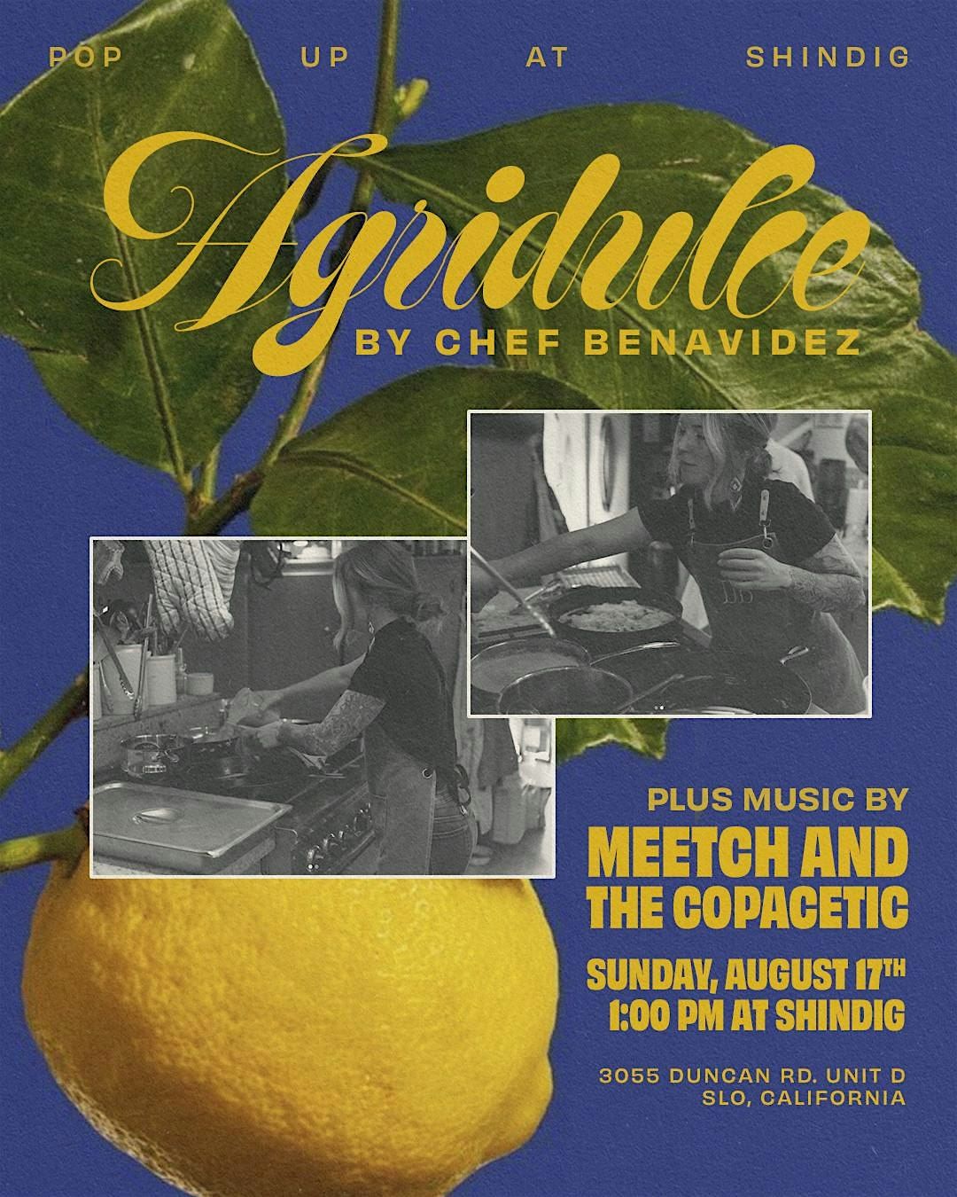 Shindig Pop up, 17 August | Event in San Luis Obispo | AllEvents