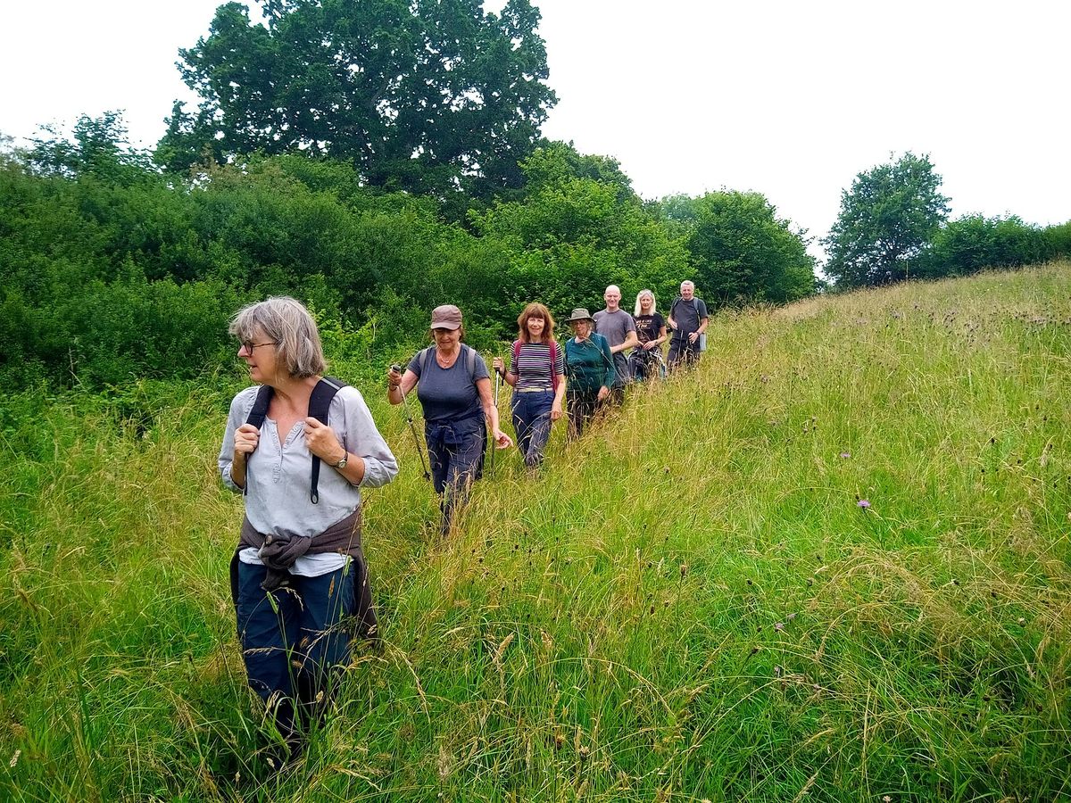 Sutton Bingham Circular Walk, 20 September | Event in Sutton Bingham | AllEvents