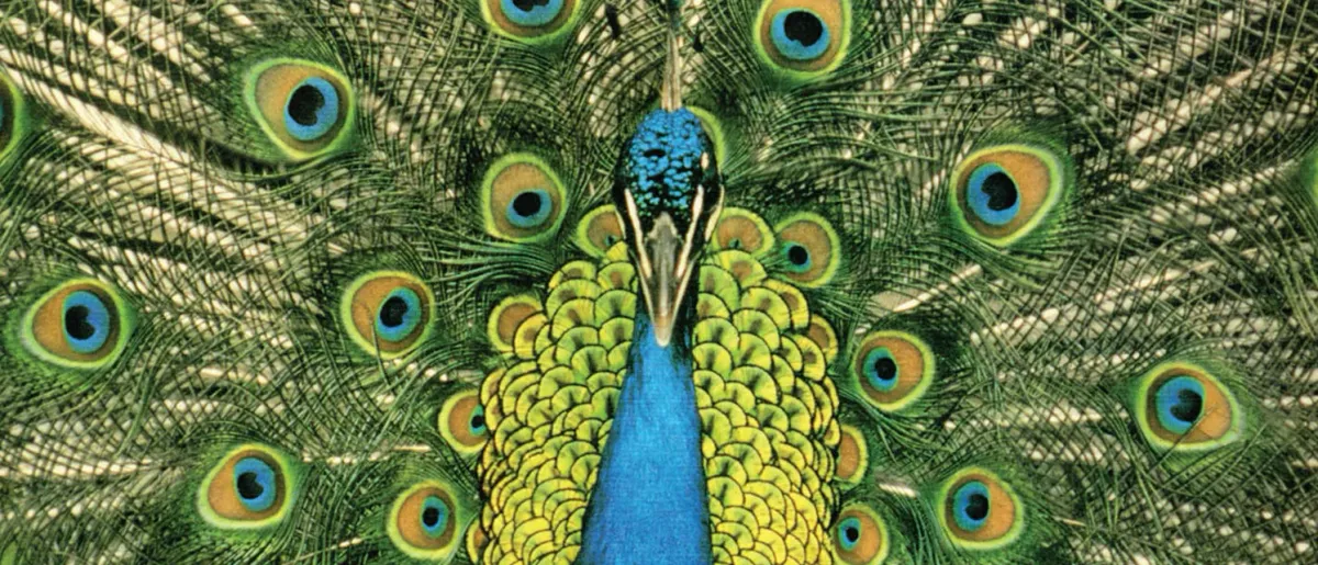 The Bluetones in Brighton, 18 October | Event in Brighton | AllEvents