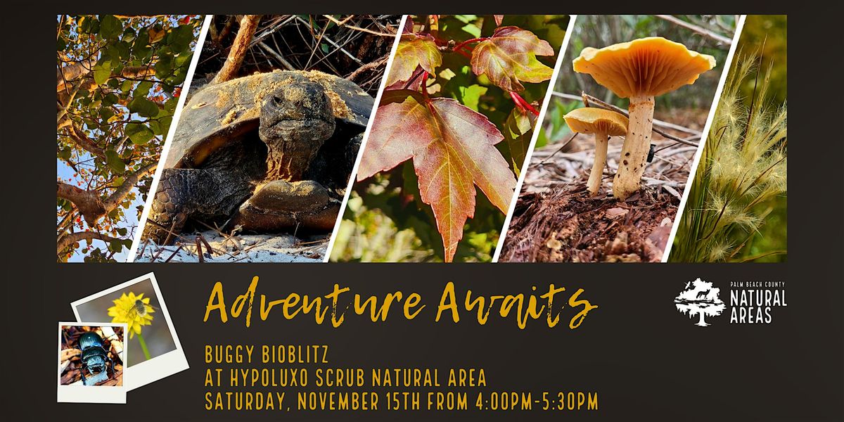 Adventure Awaits - A Buggy Bio Blitz @ Hypoluxo Scrub Natural Area, 15 November | Event in Hypoluxo | AllEvents