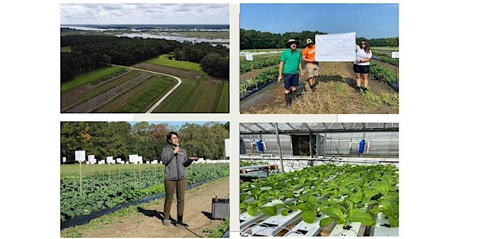 Clemson University CREC Vegetable Research Showcase 2025, 11 June | Event in Charleston | AllEvents