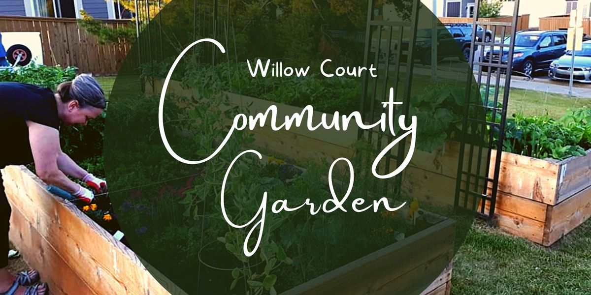 2025 Willow Court Community Garden Registration, 10 May | Event in Edmonton | AllEvents