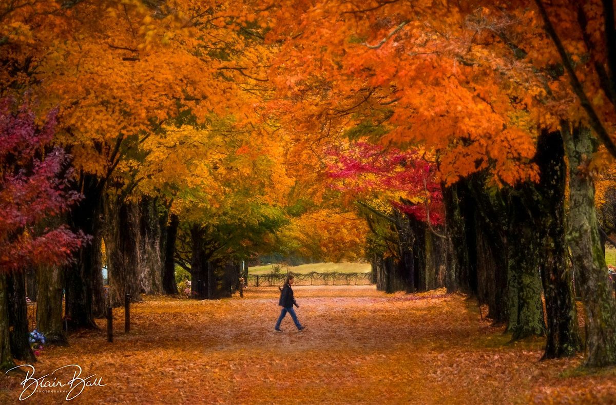 Arkansas Fall Colors Photo Workshop, 31 October | Event in Harrison | AllEvents