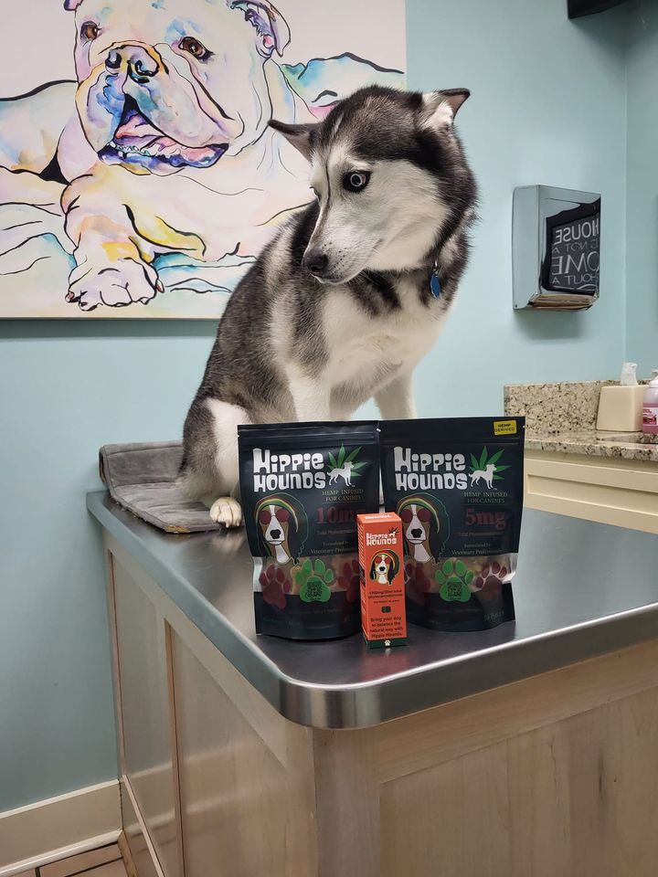 Hippie Hounds at Suite 443, 4893 Malvern Ave, Hot Springs, AR 71901