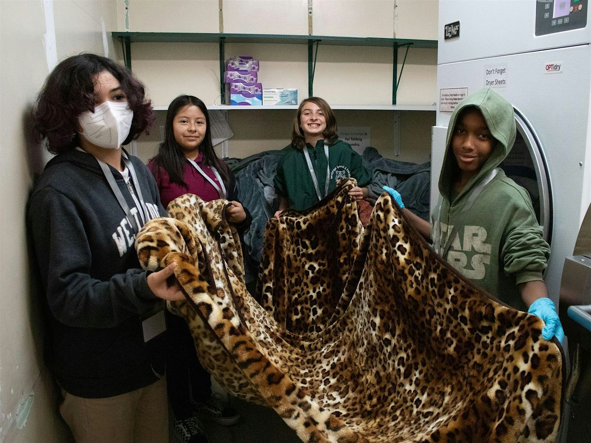 Jr. Volunteers, 26 August | Event in Pasadena | AllEvents
