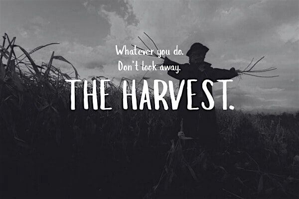 THE HARVEST: Gameplay-based immersive horror experience, 31 October | Event in Lee | AllEvents