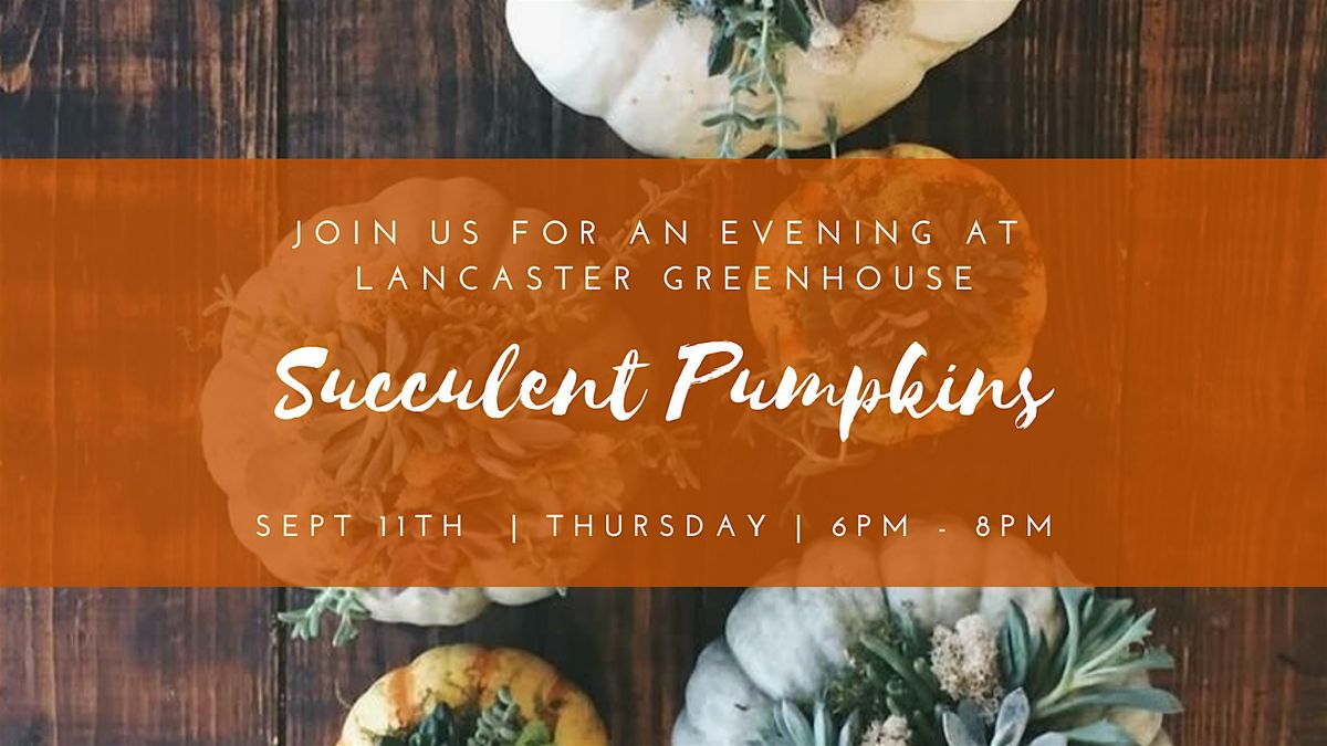 Succulent Pumpkins Workshop, 11 September | Event in Lancaster | AllEvents