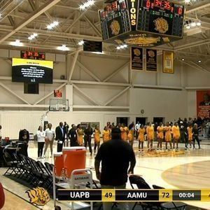 Arkansas Pine Bluff Golden Lions at Arkansas State Red Wolves Baseball