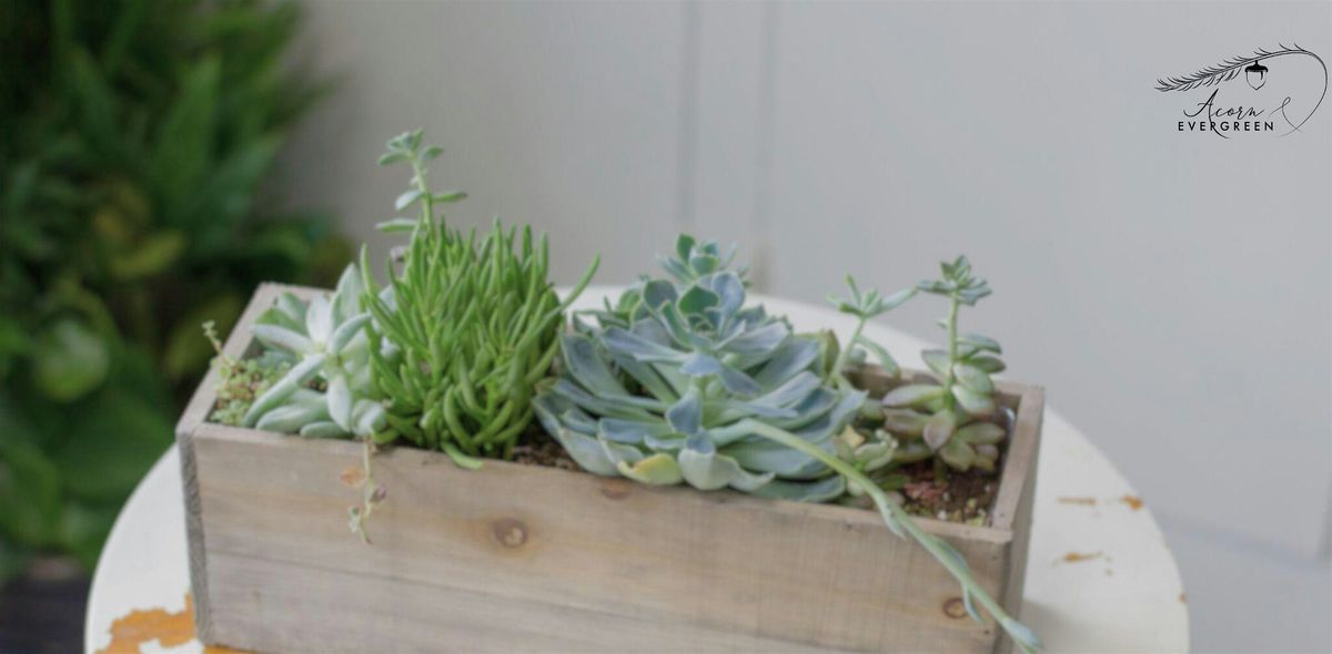 Copy of Sips & Succulents, 9 August | Event in Akron | AllEvents