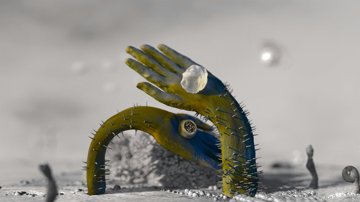 Gender Matters: Iman Datoo | Event in Kingston | AllEvents