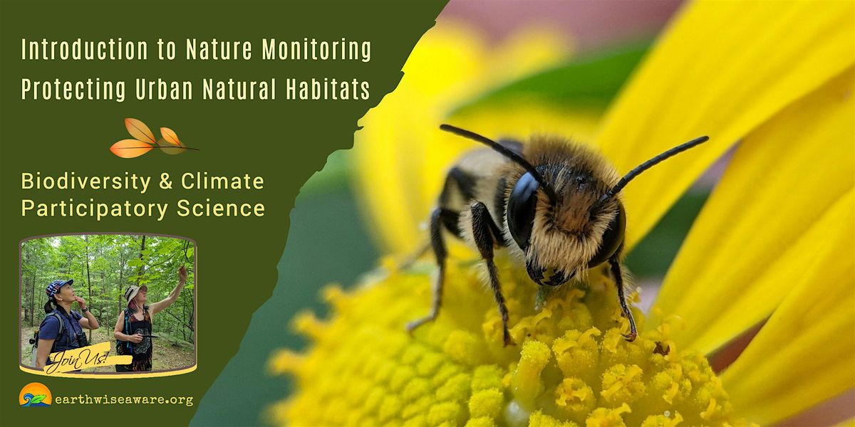Introduction to Nature Monitoring in the City, 14 June | Event in Somerville | AllEvents