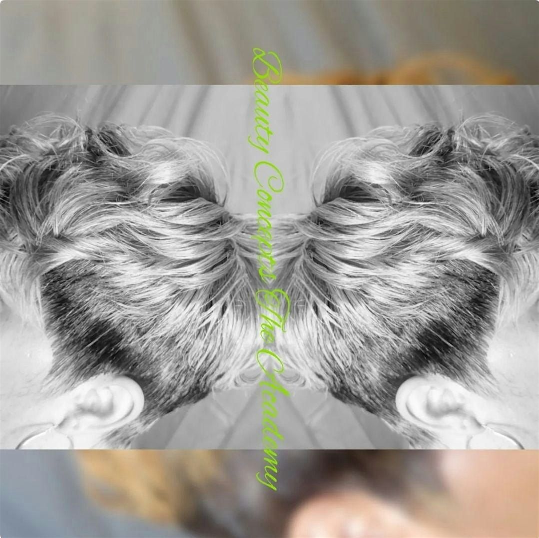 Luxurious Hair III: Quick Weaves "Hands-on" class | Event in Peachtree Corners | AllEvents