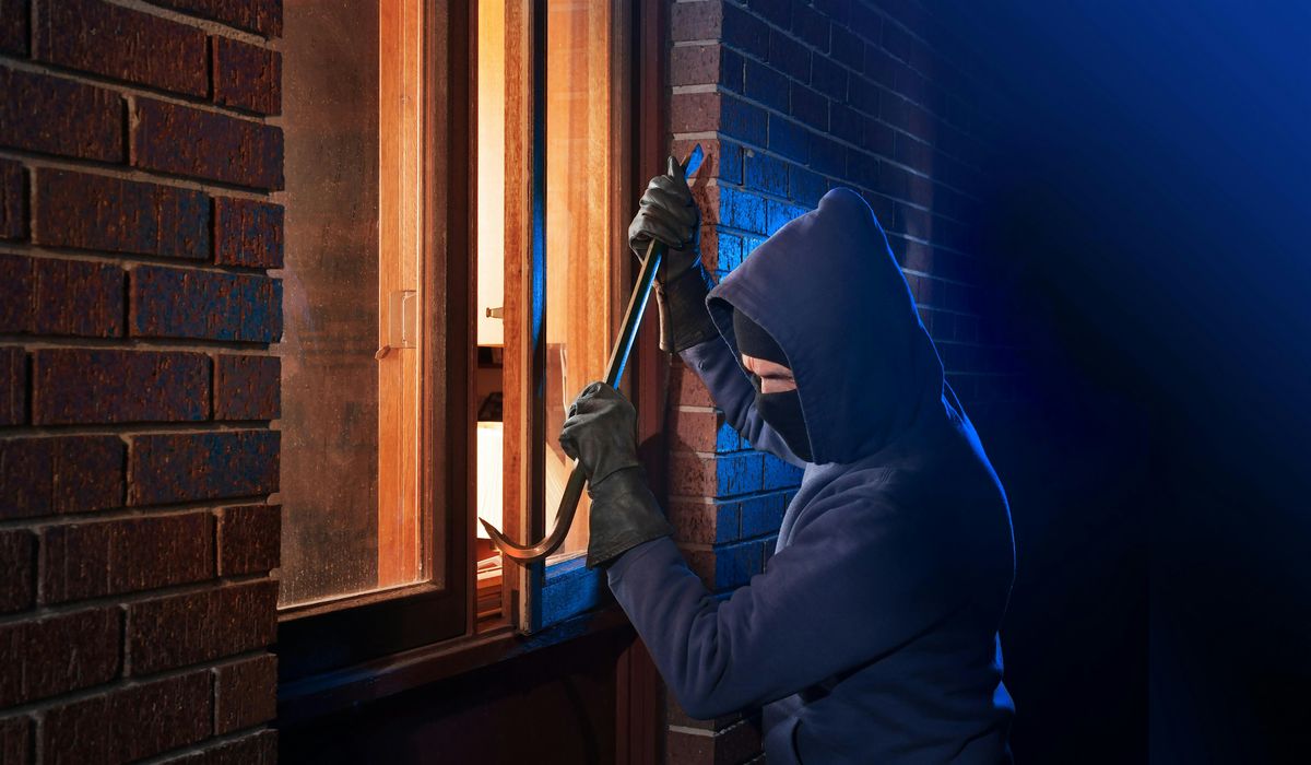 Virtual - Crime Prevention and Response Sunday, 29 June | Online Event | AllEvents