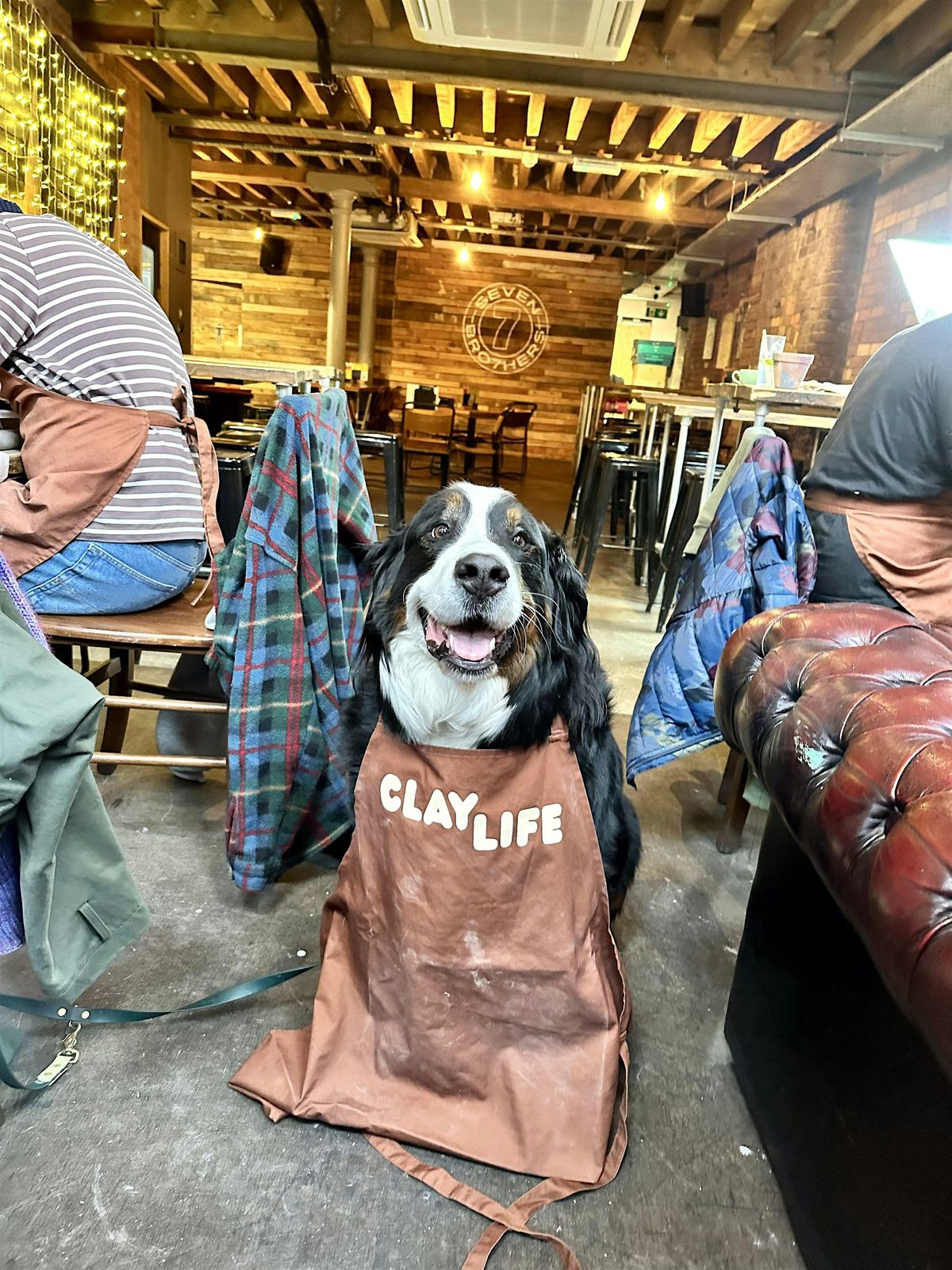 Make your pet a clay bowl | Event in Ancoats | AllEvents