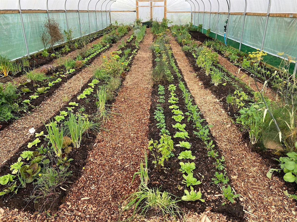 Polytunnel / Greenhouse Design, 9 May | Event in Taunton | AllEvents