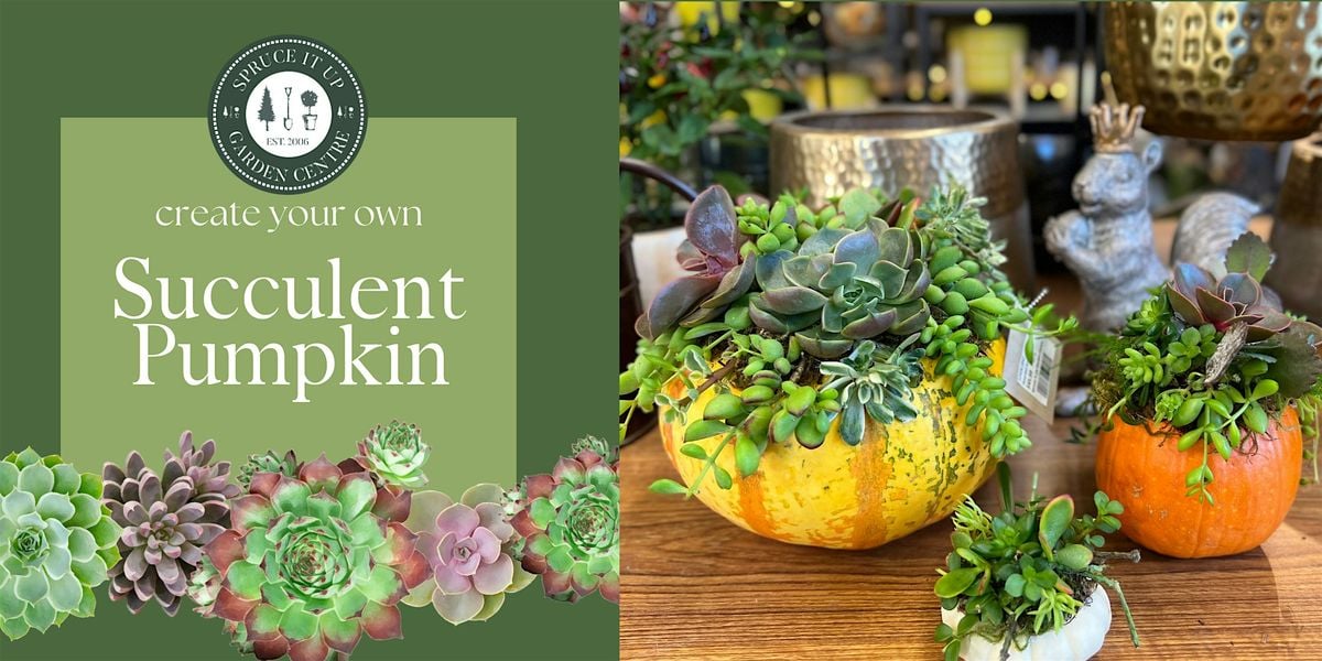 Succulent Pumpkin Workshop, 19 October | Event in Calgary | AllEvents