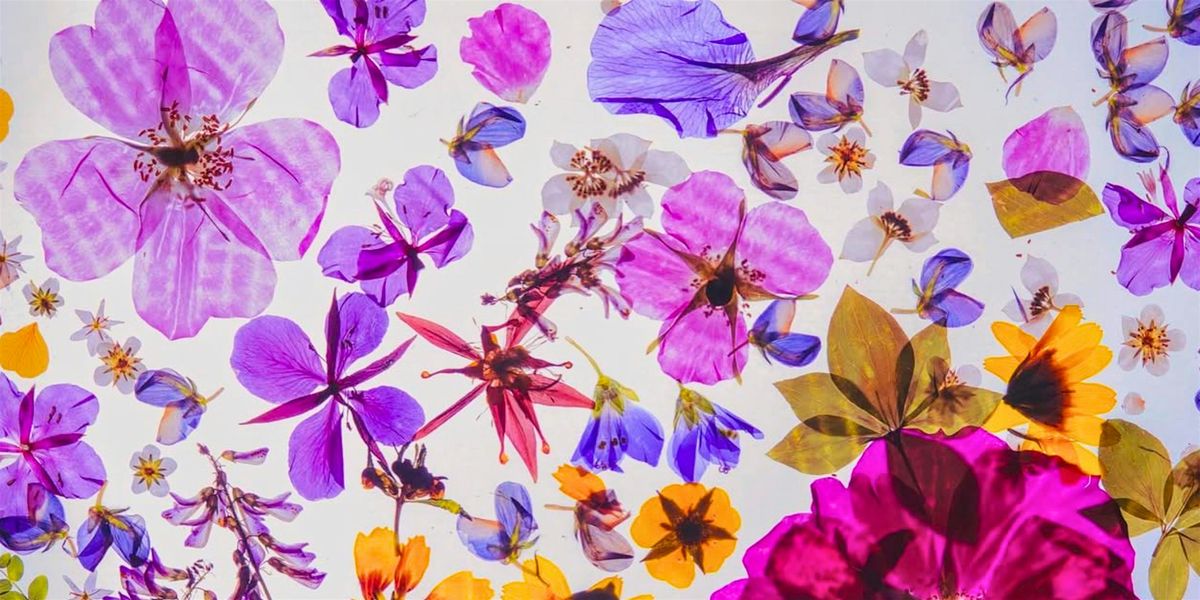 Plant Pressing: Workshop with Recycled Materials, 25 July | Event in Whitehorse | AllEvents