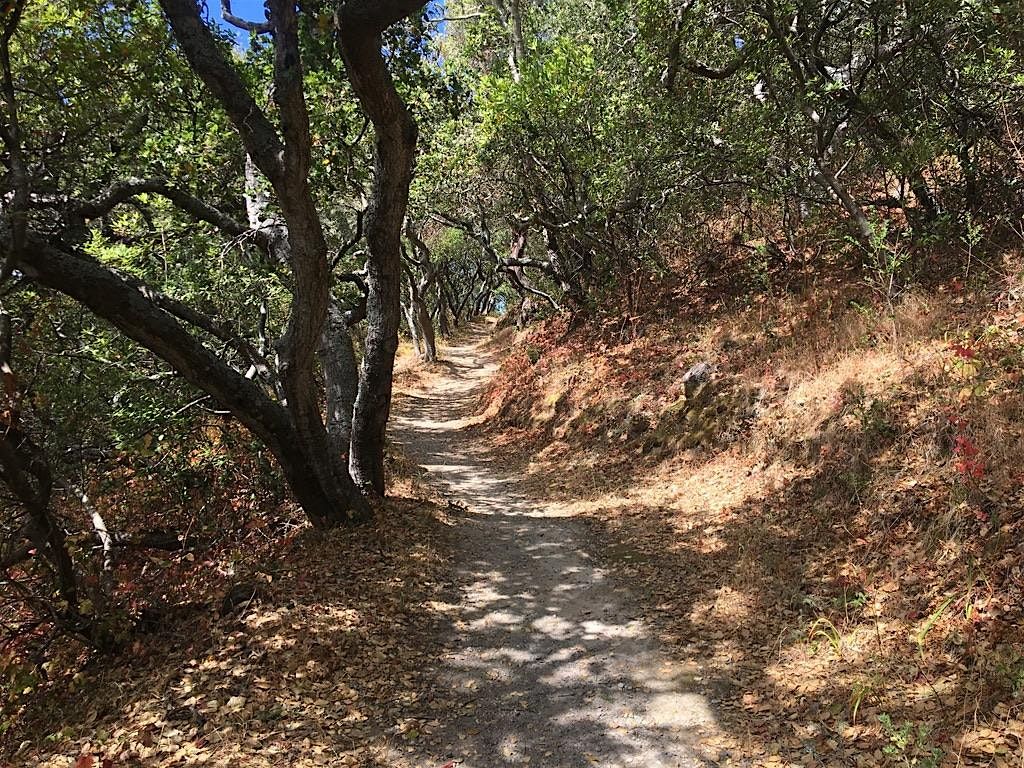 Take A Hike Challenge 2025 - Junipero Serra Park, 6 September | Event in San Bruno | AllEvents
