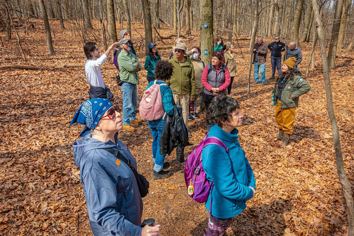 National Trails Day: LaTourette Park Guided Hike & Forest Restoration, 7 June | Event in Staten Island