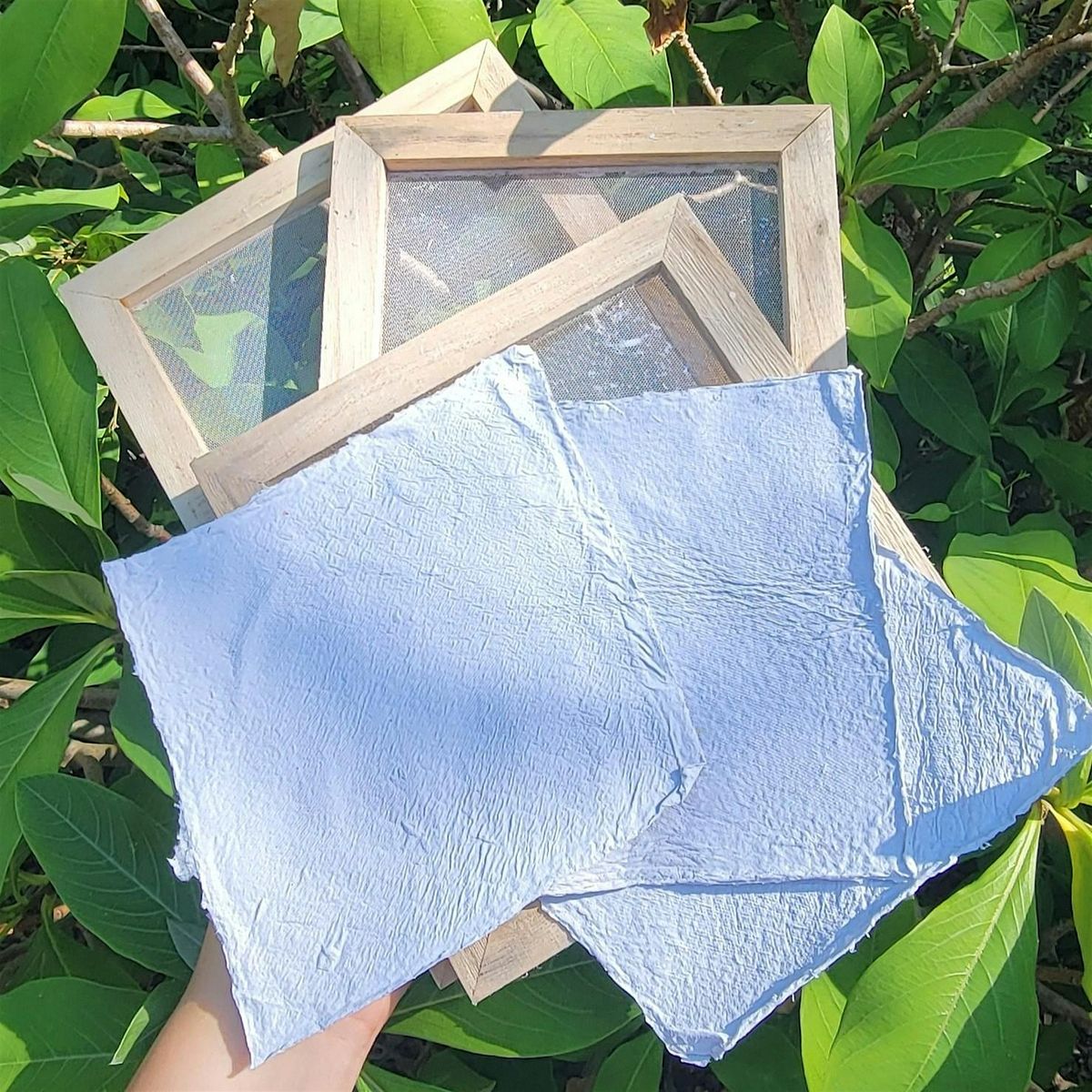 Up-cycle: Make Your Own Paper, 7 September | Event in Edgewater | AllEvents