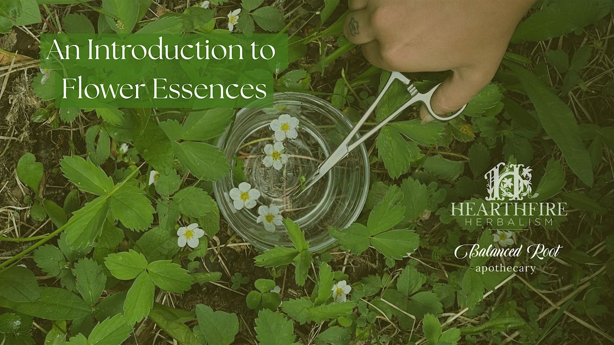 An Introduction to Flower Essences, 24 June | Event in Denver | AllEvents