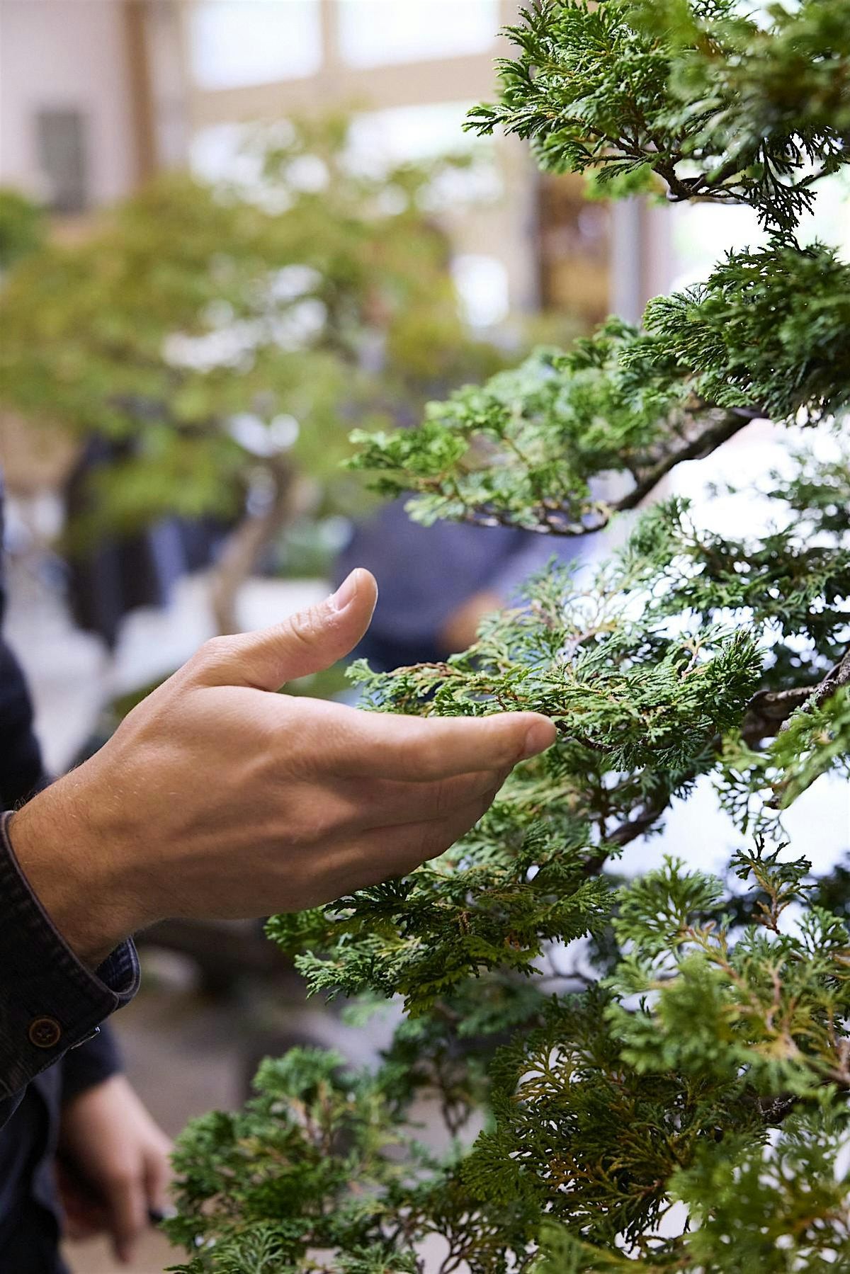 Bring Your Own Tree with Sergio Cuan Workshop, 21 June | Event in Pomona | AllEvents