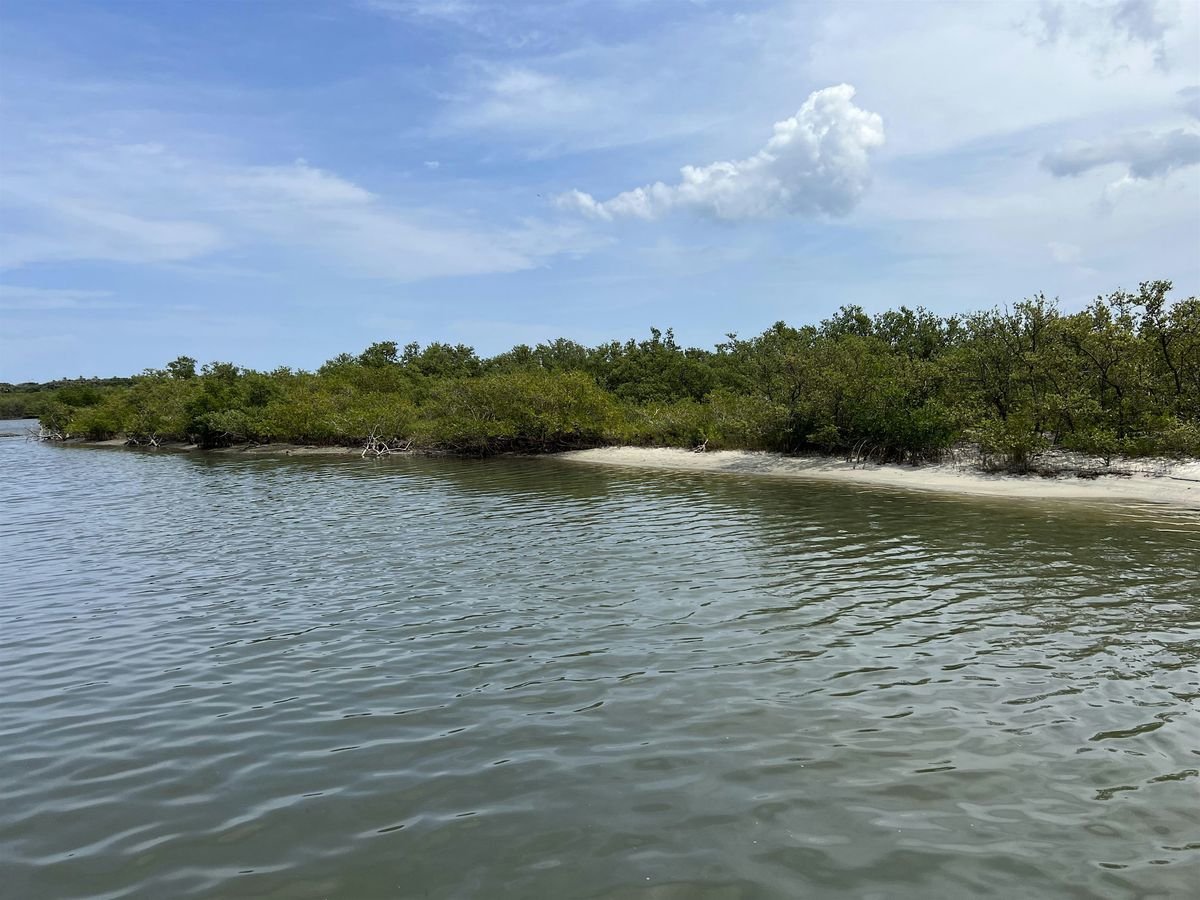 How Native Plants Support Healthy Ecosystems Along the Indian River Lagoon, 24 July | Event in Edgewater | AllEvents