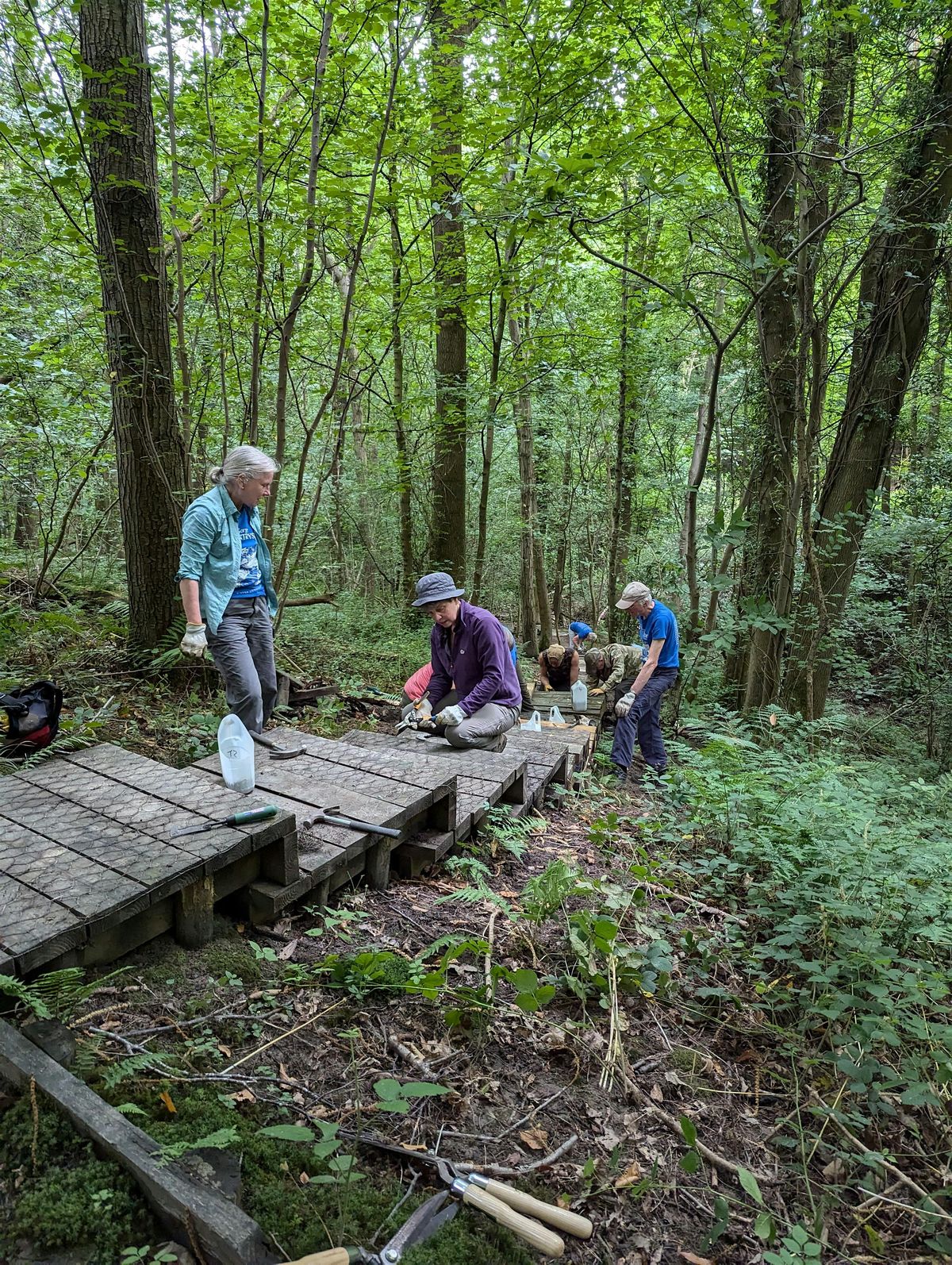 Volunteering @ Lydebrook Dingle, 4 December | Event in Telford | AllEvents