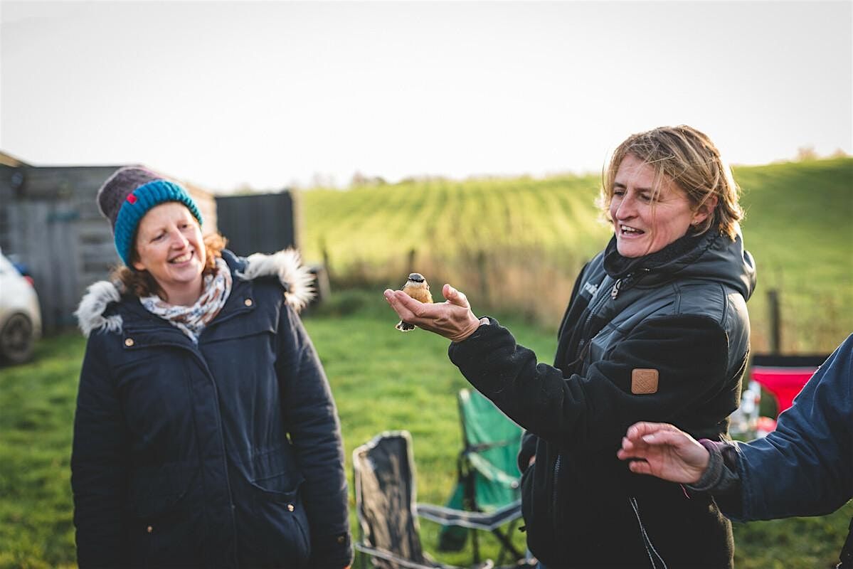 Bird Ringing with the Redditch Ringing Group, 6 December | Event in Spernal | AllEvents