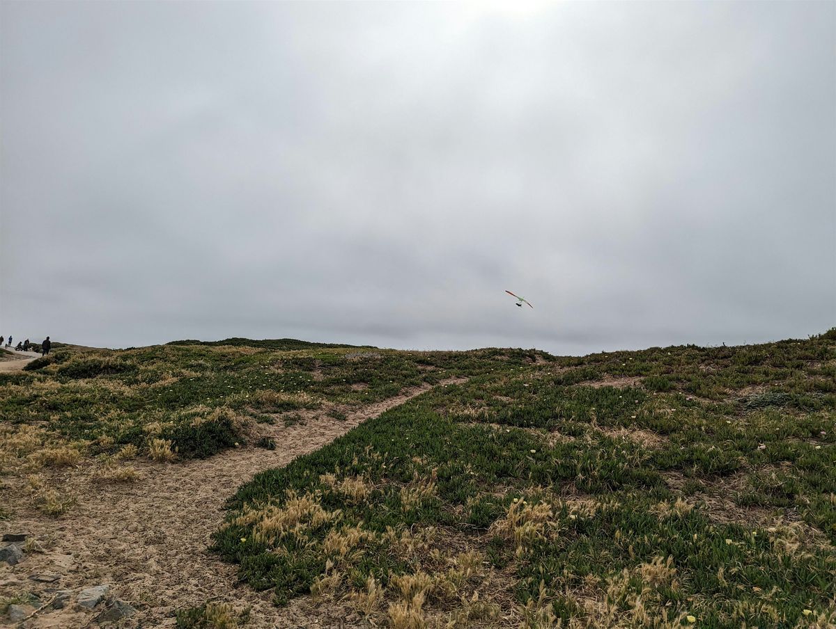Double Cross Nature Treasure Hunt, Section 1, 7 June | Event in San Francisco | AllEvents