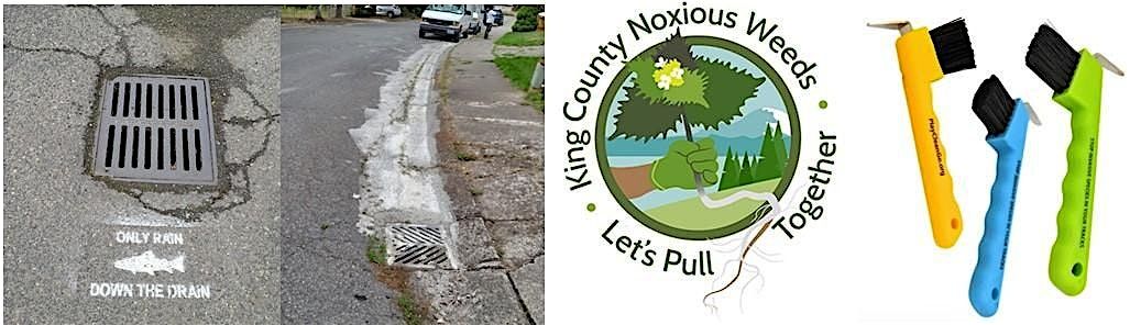 King County WLRD Field Staff in-person Spill/Decon/Weeds training, 30 July | Event in Redmond | AllEvents