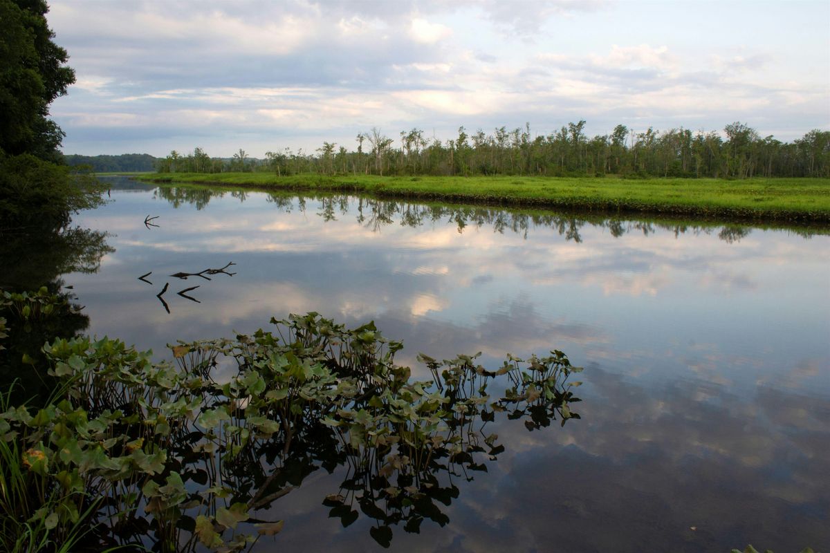 Guided Paddle at Cumberland Marsh Preserve, 3 October | Event in New Kent | AllEvents
