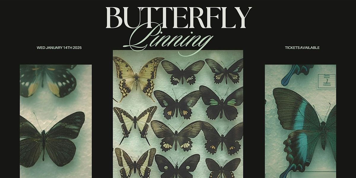Butterfly Pinning Workshop, 14 January | Event in Vancouver | AllEvents