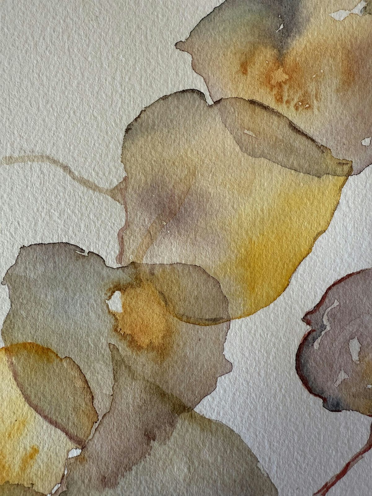Paint with Us:  Watercolor Focus on Fall, 8 October | Event in Santa Fe | AllEvents