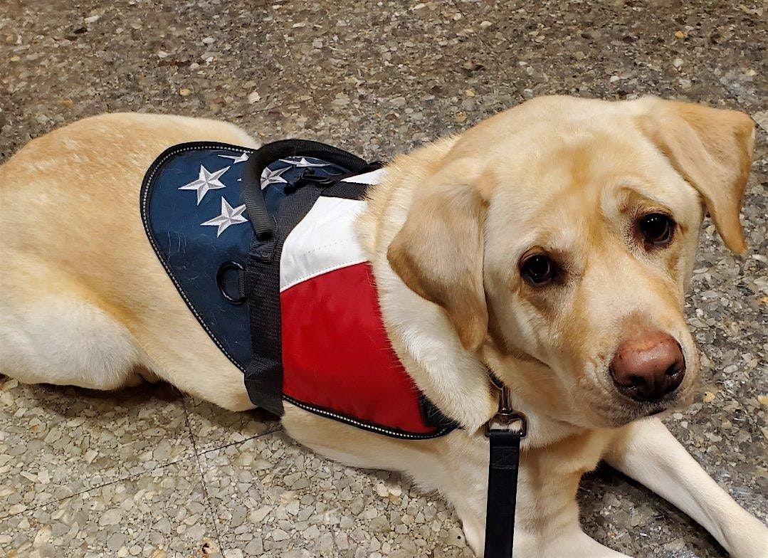 PROJECT KODA and friends by The Tuohy Giving Foundation, 22 November | Event in Lindenhurst | AllEvents