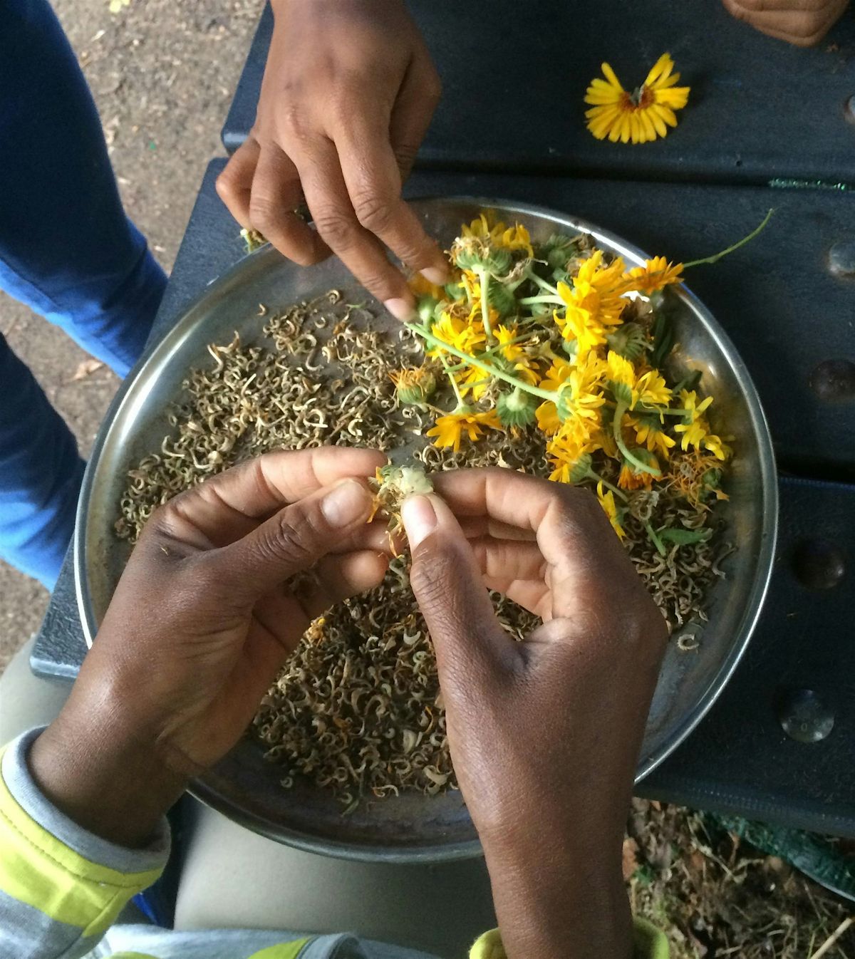 Soil Health Workshop: Preparing Your Farm and Garden for Winter, 11 October | Event in Cleveland | AllEvents