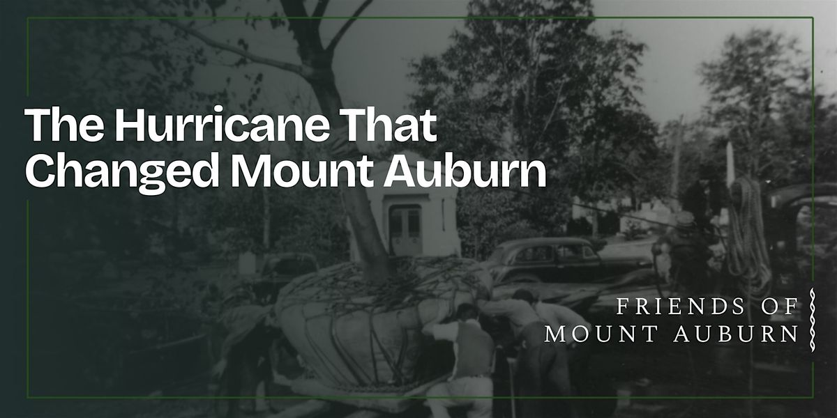 The Hurricane That Changed Mount Auburn, 21 September | Event in Cambridge | AllEvents