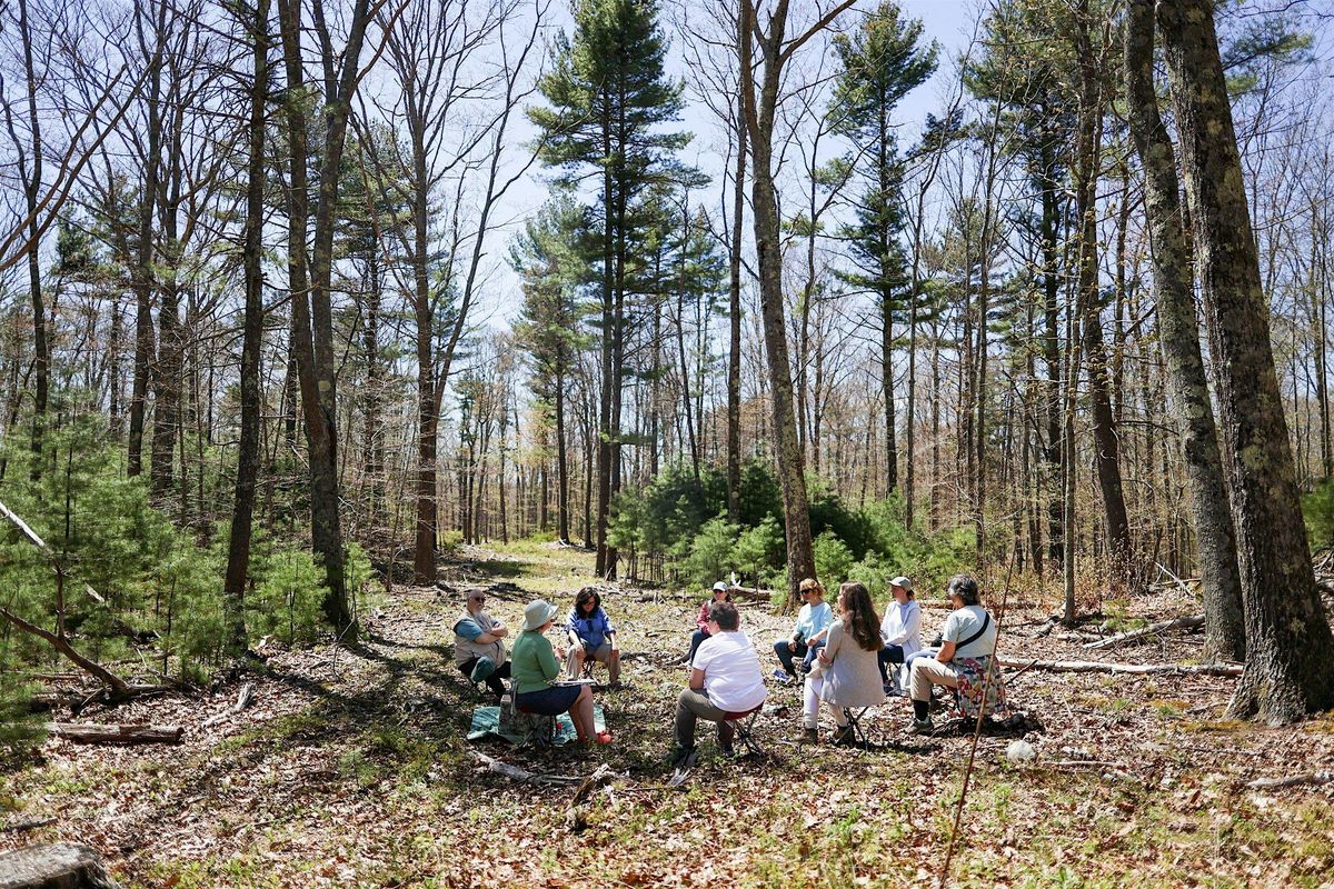 Forest Bathing with Certified Guide Nev Hoffman, 25 September | Event in Lee | AllEvents