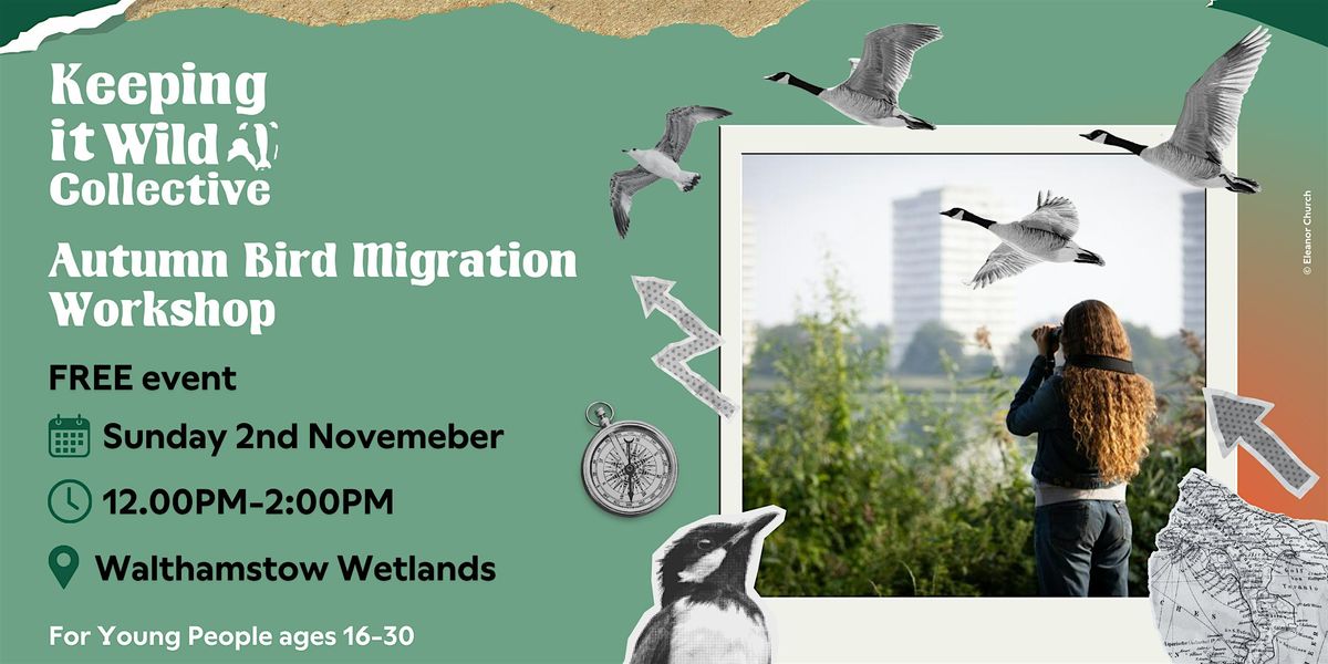 Keeping it Wild Collective: Autumn Bird Migration, 2 November | Event in London | AllEvents
